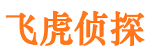 万安市调查公司